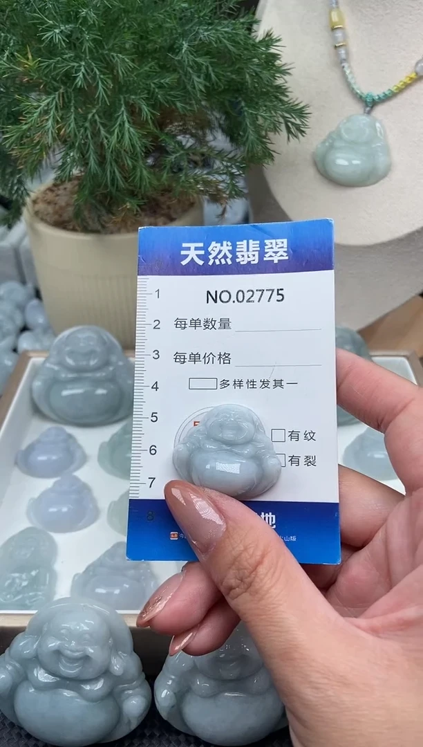 颈饰未镶嵌翡翠纯天然A货缅翡2775