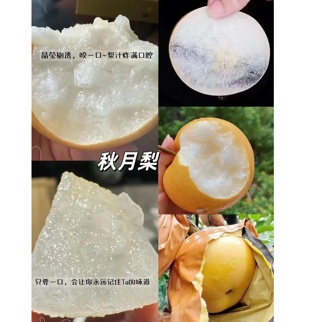 【配送到家】秋月梨两个（2斤）