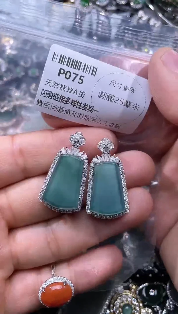 【闪购商品】翡翠颈饰未镶嵌P075多样性发其一