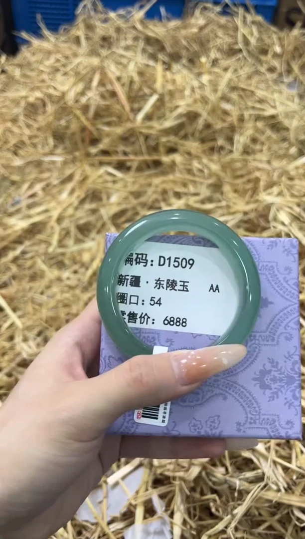 未镶嵌手镯石英质玉D1509