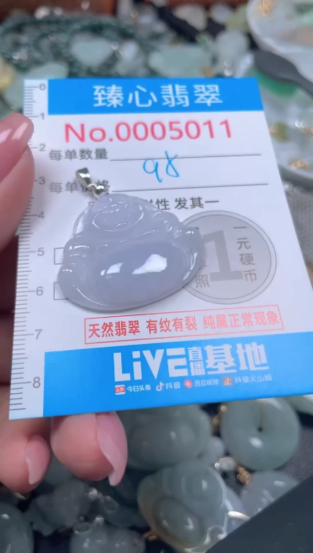 颈饰未镶嵌翡翠5011