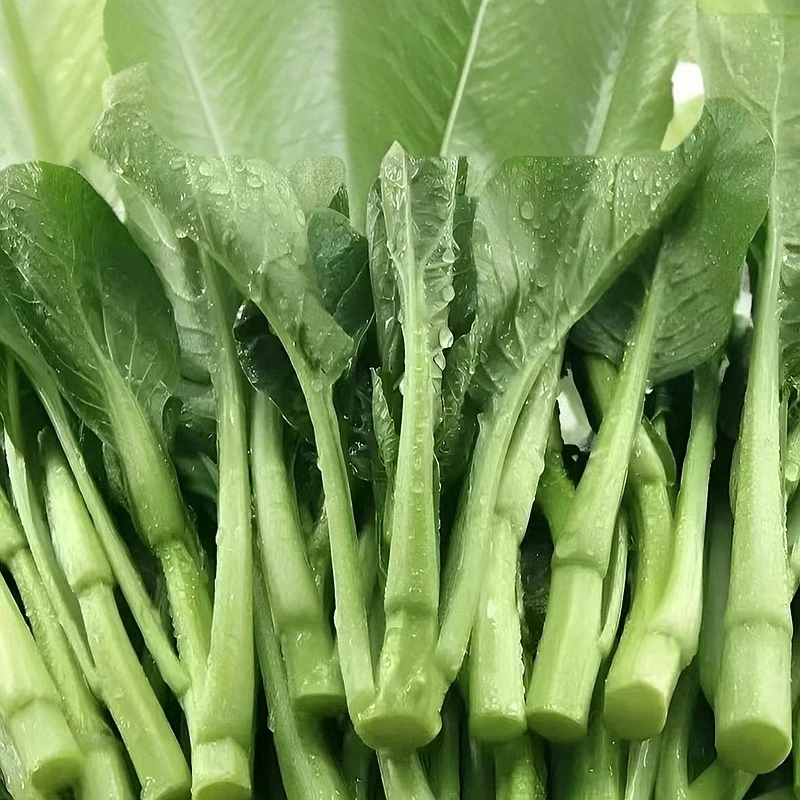 新鲜菜心一份500克左右