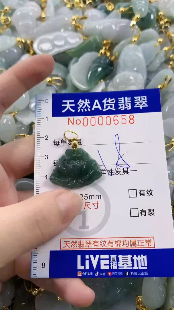 颈饰未镶嵌翡翠天然A货翡翠