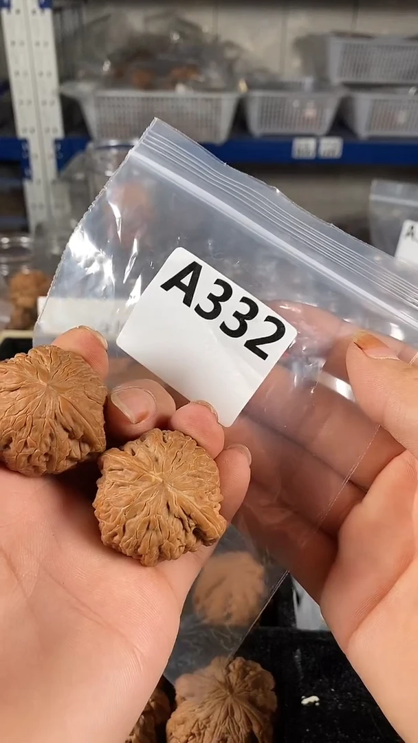 把件文玩核桃41铁锤核桃有一点点浮黄
