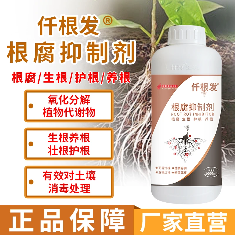 仟根发根腐抑制剂1000毫升瓶装送生根粉含腐殖酸水溶肥