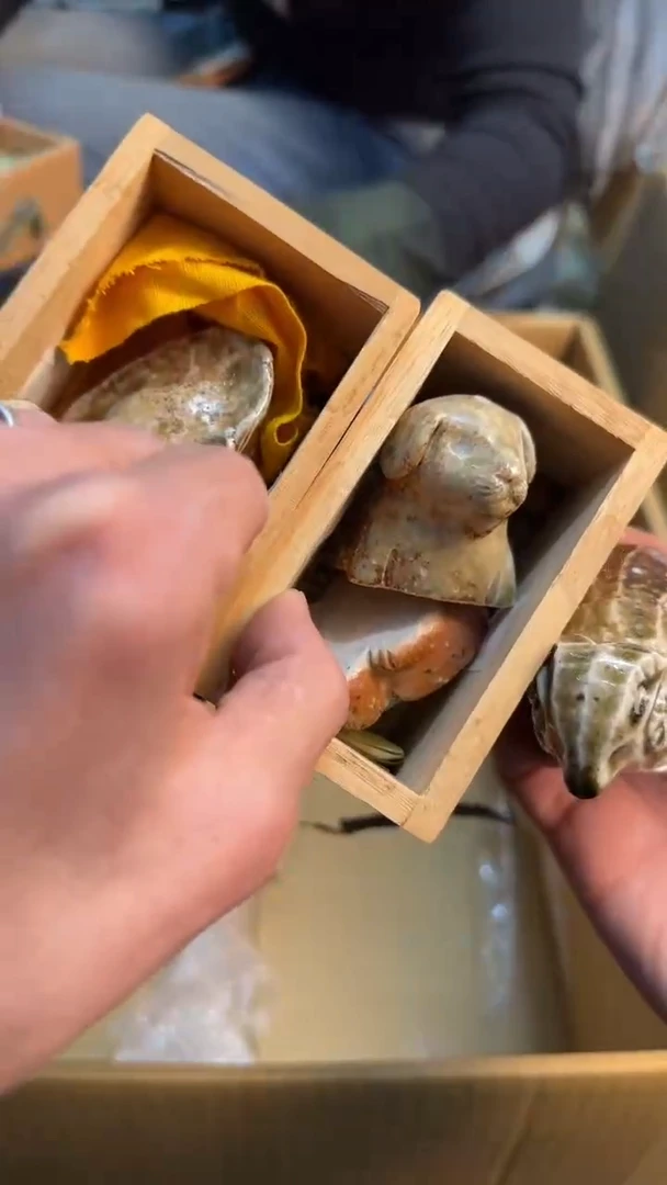 【闪购商品】茶盏88888888    788