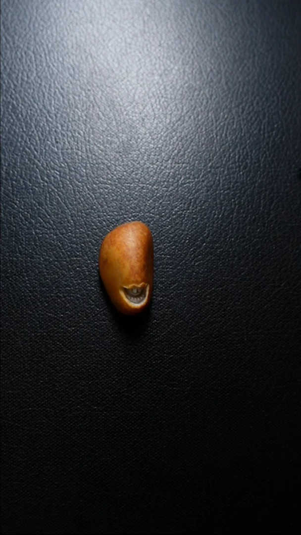 【闪购商品】和田玉颈饰未镶嵌笑口常开