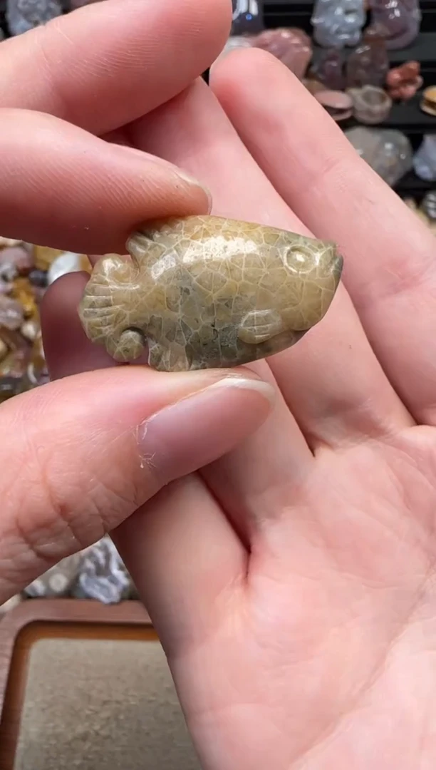 颈饰未镶嵌硅化珊瑚（珊瑚玉）094