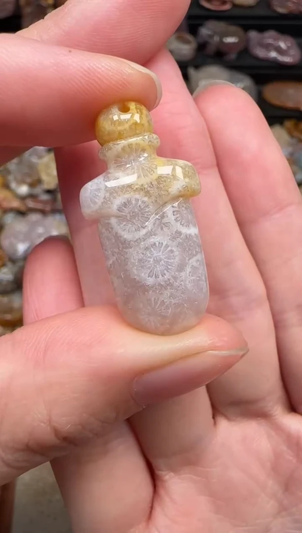 颈饰未镶嵌硅化珊瑚（珊瑚玉）407