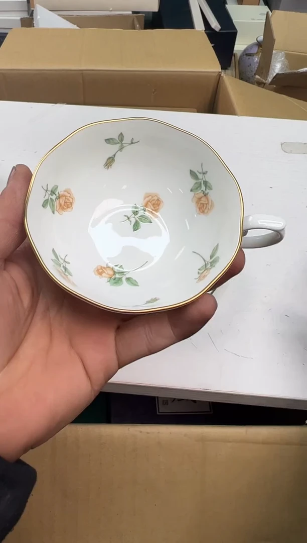 【闪购商品】瓷片a549好好好好好好