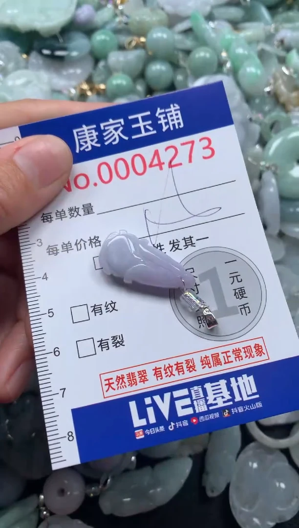 颈饰未镶嵌翡翠4273