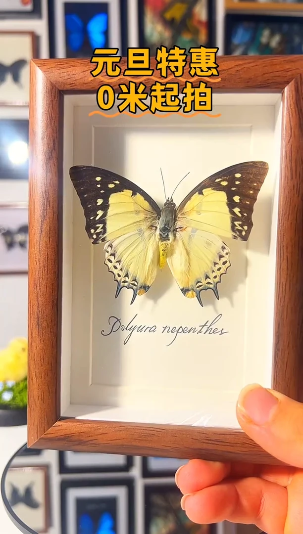 有机玻璃68794648