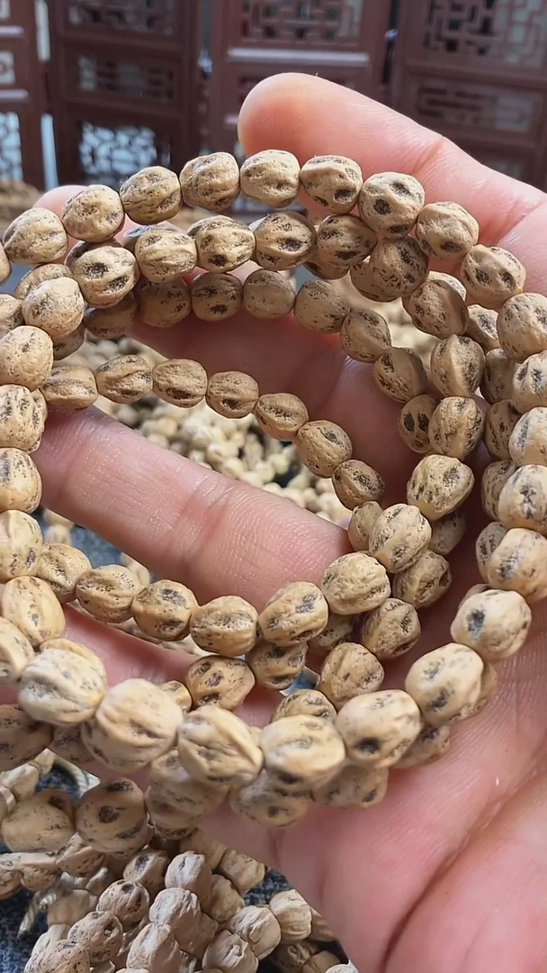 柏香籽/百香籽手串L外星人