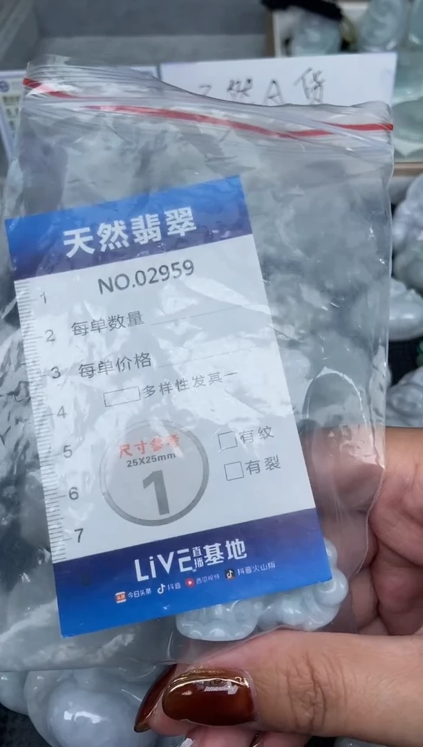颈饰未镶嵌翡翠纯天然A货翡翠2959