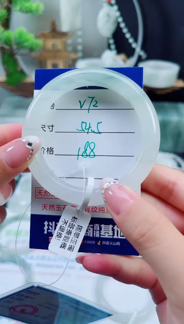未镶嵌手镯石英质玉（天山翠）72