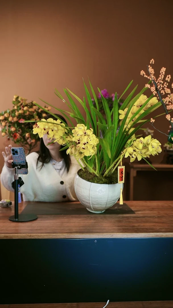 【闪购商品】盆景金玉满堂