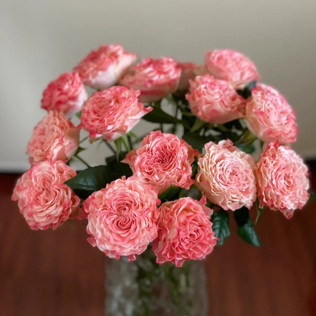 【云南鲜花】单头（小仙女）玫瑰 1单普通包邮，2单以上顺丰冷链