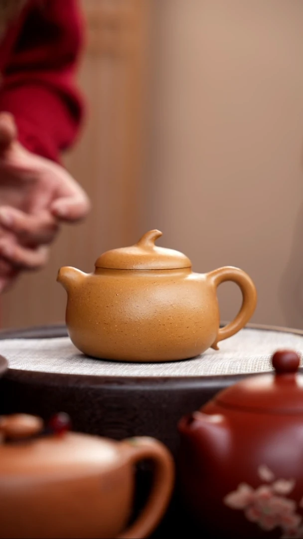 【闪购商品】紫砂茶壶蟹黄段匏瓜