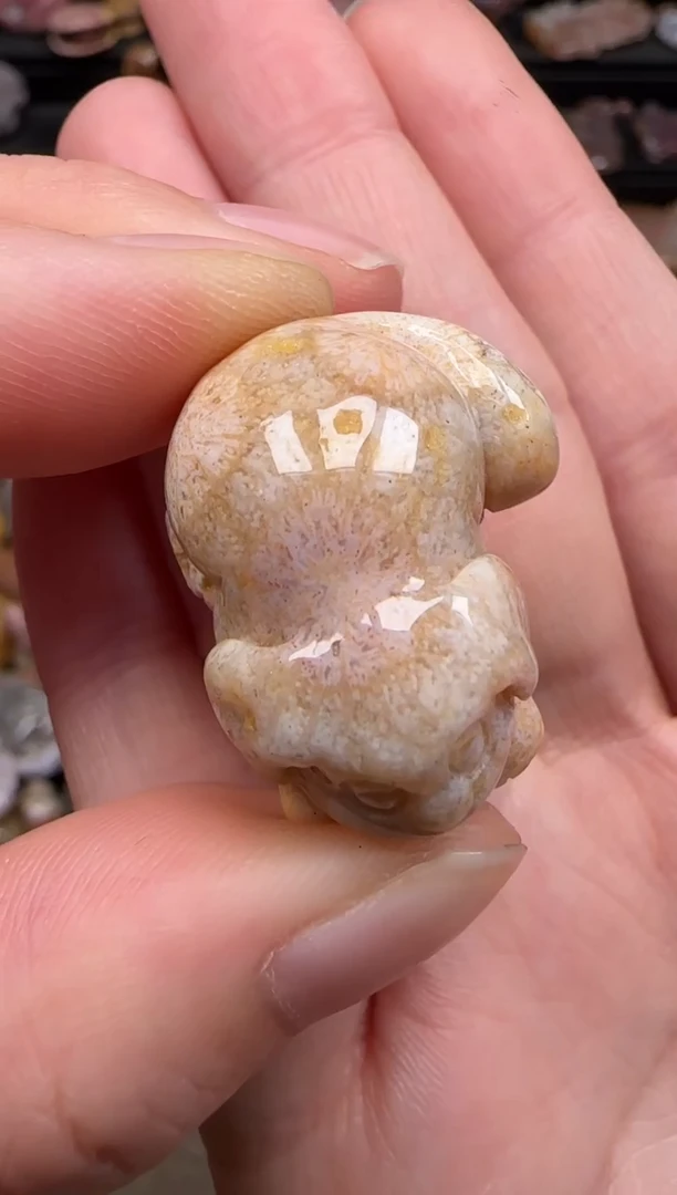 硅化珊瑚（珊瑚玉）未镶嵌颈饰479