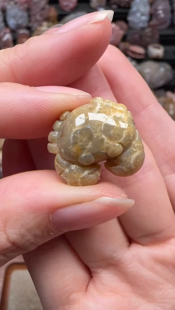 颈饰未镶嵌硅化珊瑚（珊瑚玉）352