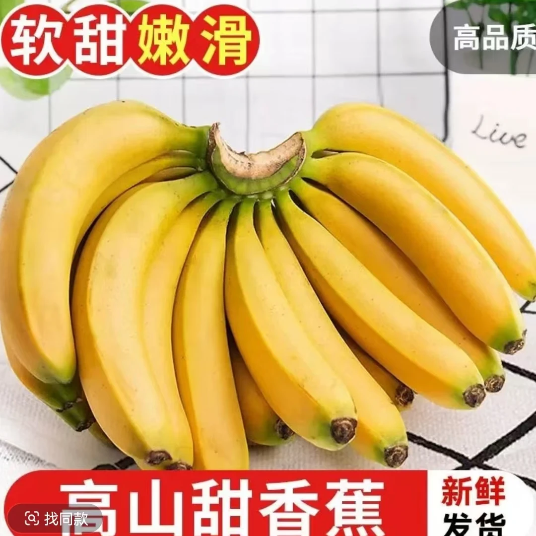 云南正宗香蕉10斤催熟高山自然当季新鲜现摘水果薄皮