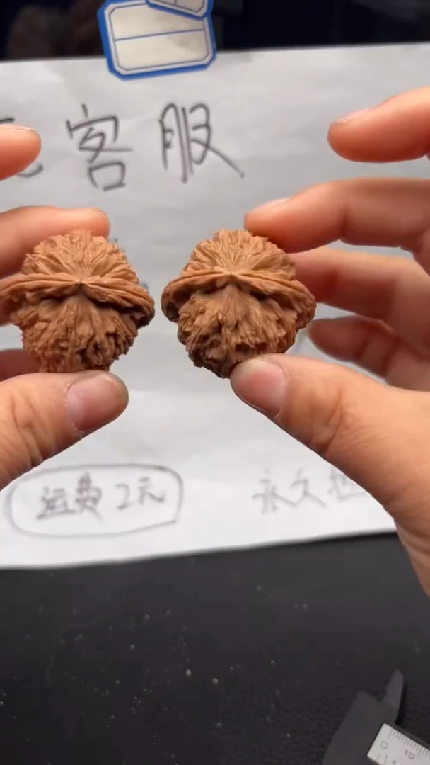 把件文玩核桃524白狮子