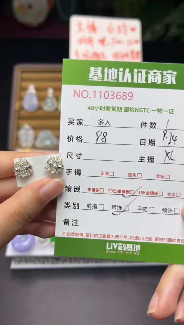 银S925镶嵌翡翠耳饰多人
