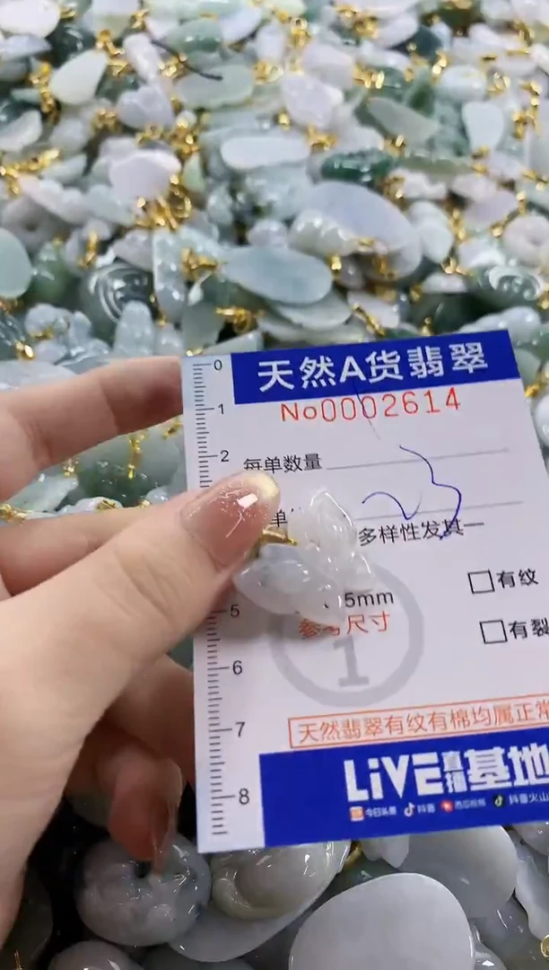 颈饰未镶嵌翡翠天然A货翡翠