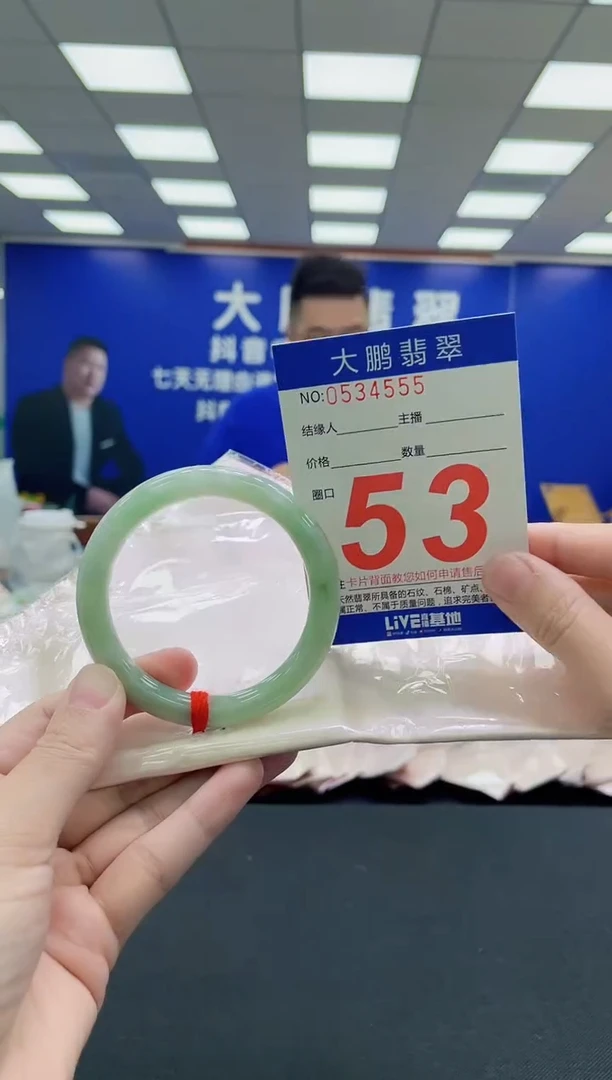 未镶嵌手镯翡翠AAAAAAAAA