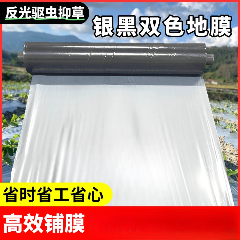 农用加厚种植银黑反光双色地膜塑料薄膜果树果园种菜地膜农用薄膜