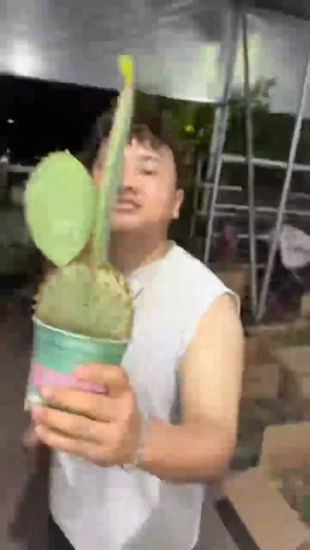 圣丽塔【带根】2个叶片起发