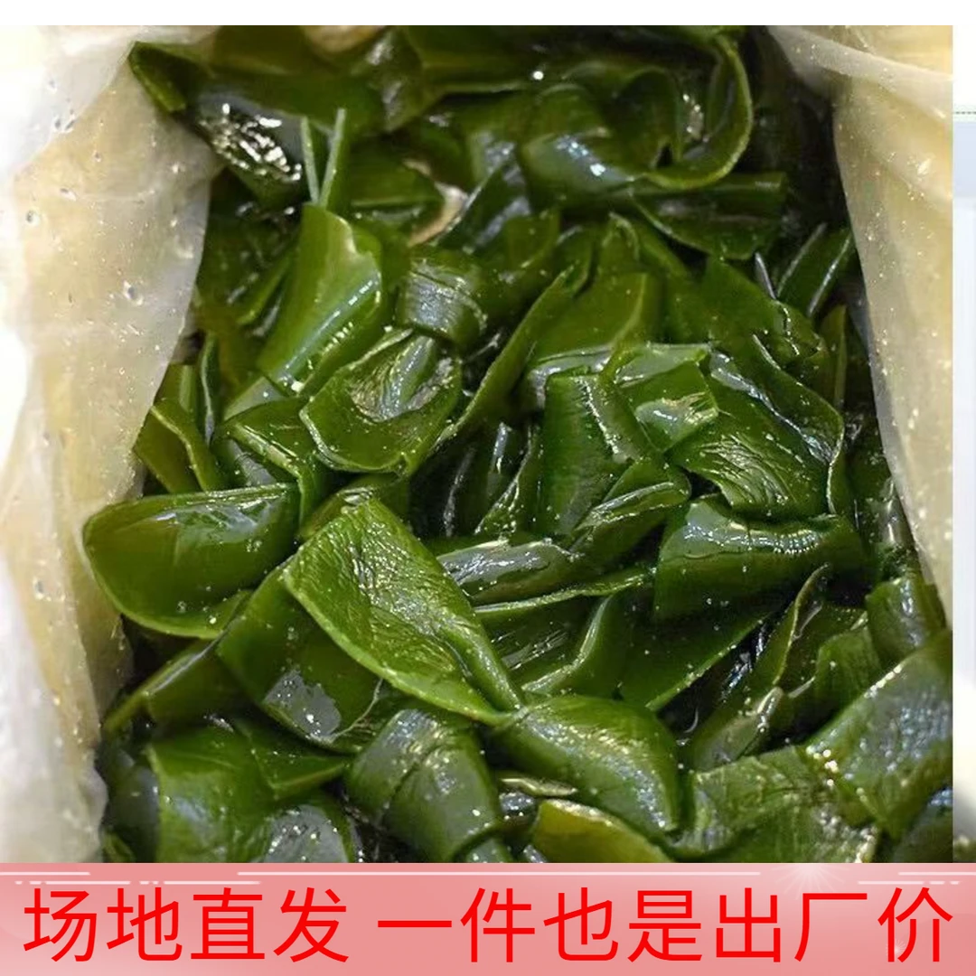 霞浦直供1斤-5斤一整箱厚实海带结关东煮麻辣烫海带扣批发串串香