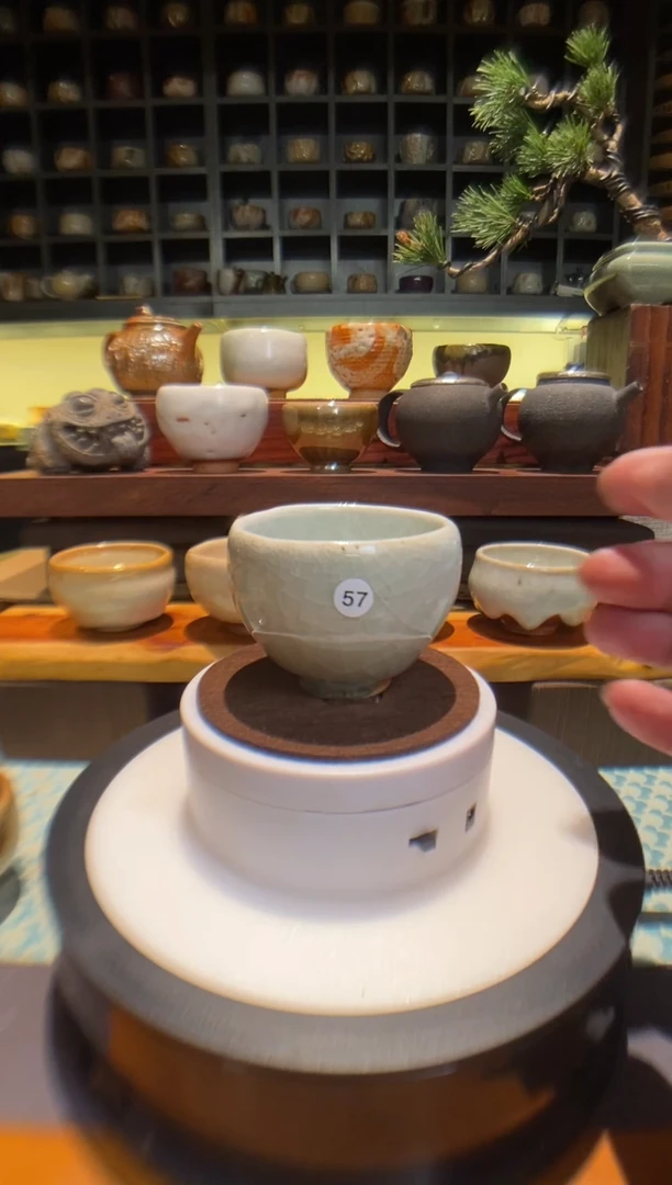 【台湾净窑】柴烧志野57-特价