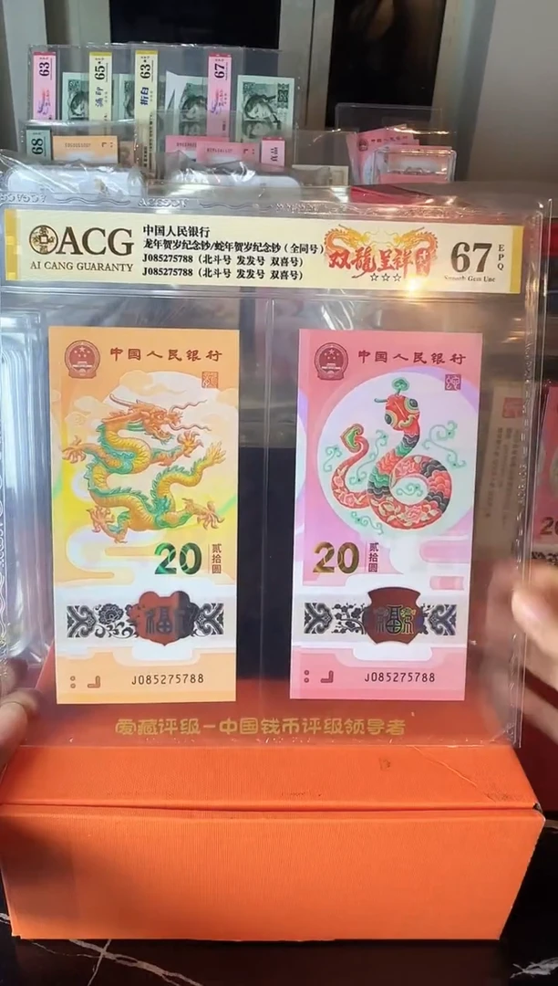 塑料2025 龙蛇全同号一对 啊啊啊如图