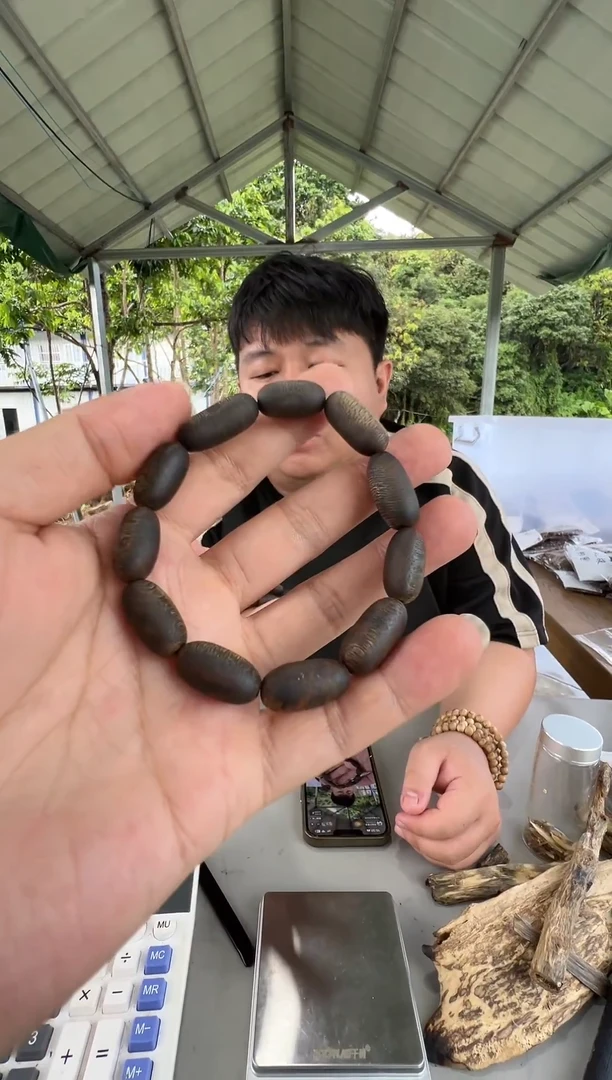 沉香手串张勺子沉水留疤09单圈多样性发一