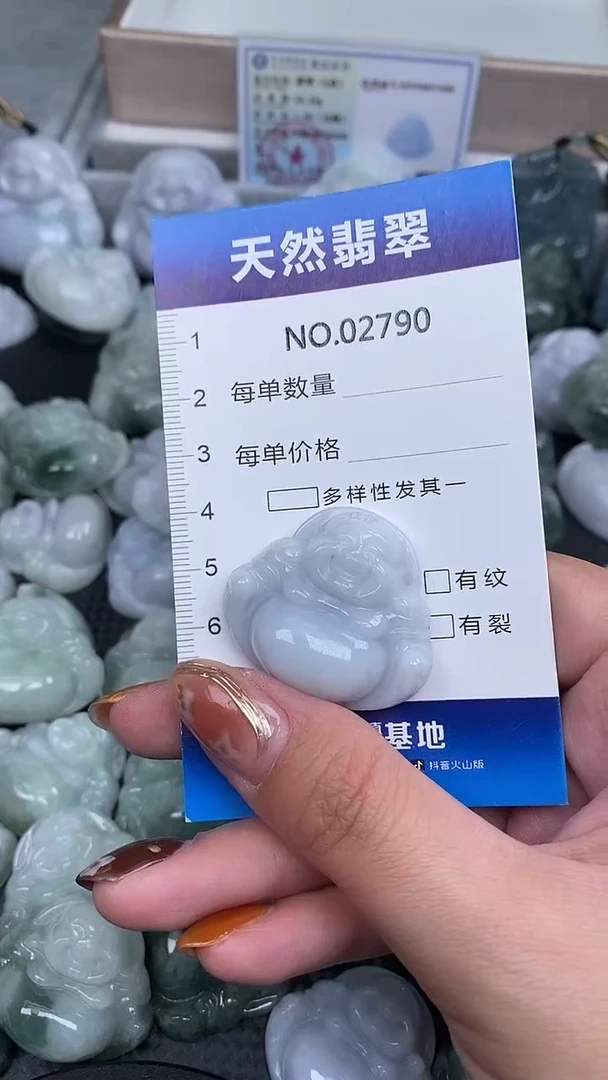 颈饰未镶嵌翡翠纯天然A货翡翠2790