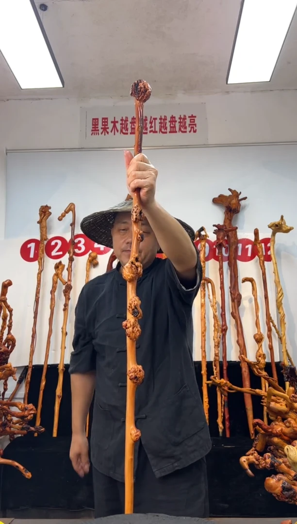 黑果木其他黑果木329