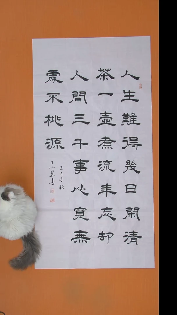 书法王小慧老师精美隶书