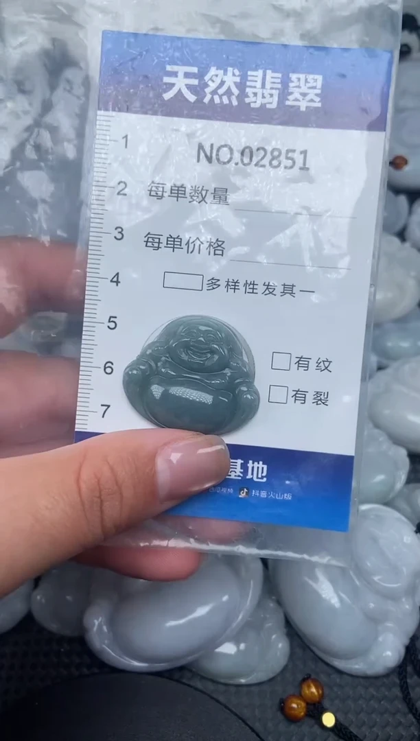 颈饰未镶嵌翡翠纯天然A货翡翠2851