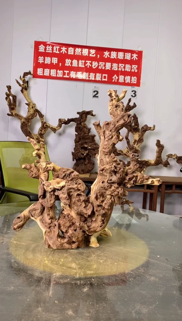 【闪购商品】木金丝红木 羊蹄甲 
