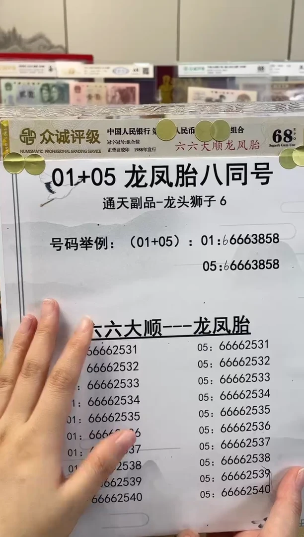 【六六大顺】通天狮子龙凤胎标十对