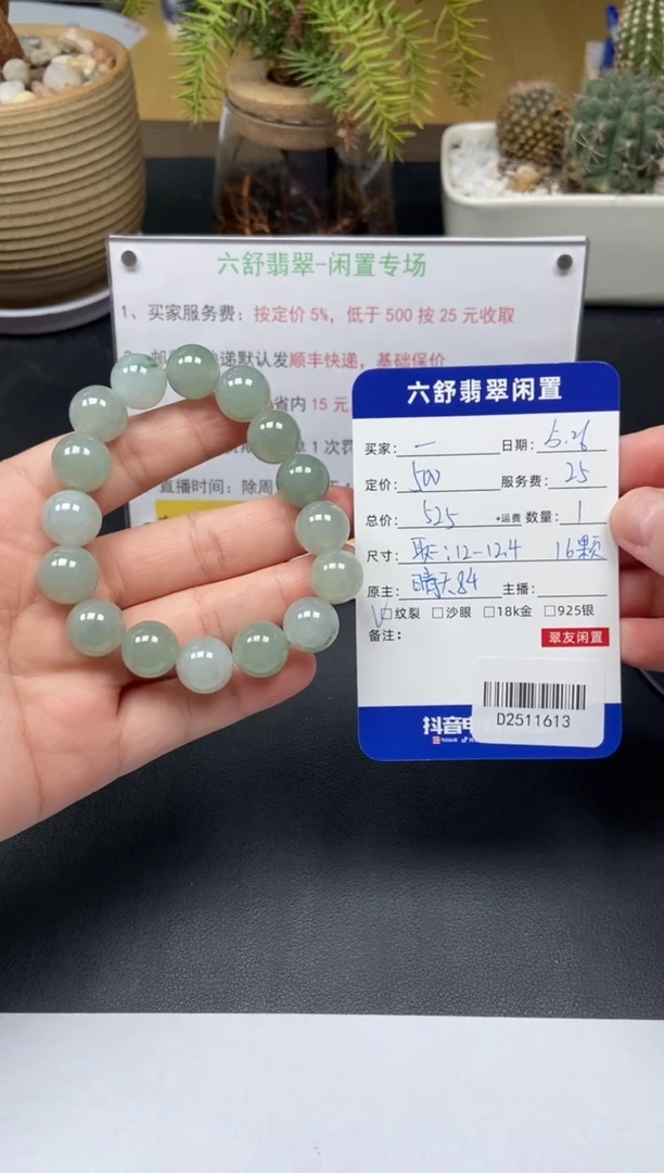 未镶嵌手串翡翠D2511613