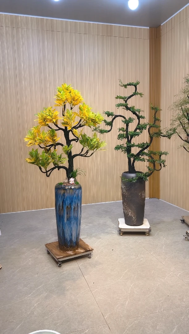 无花朵海**械洒金珊瑚洒金珊瑚