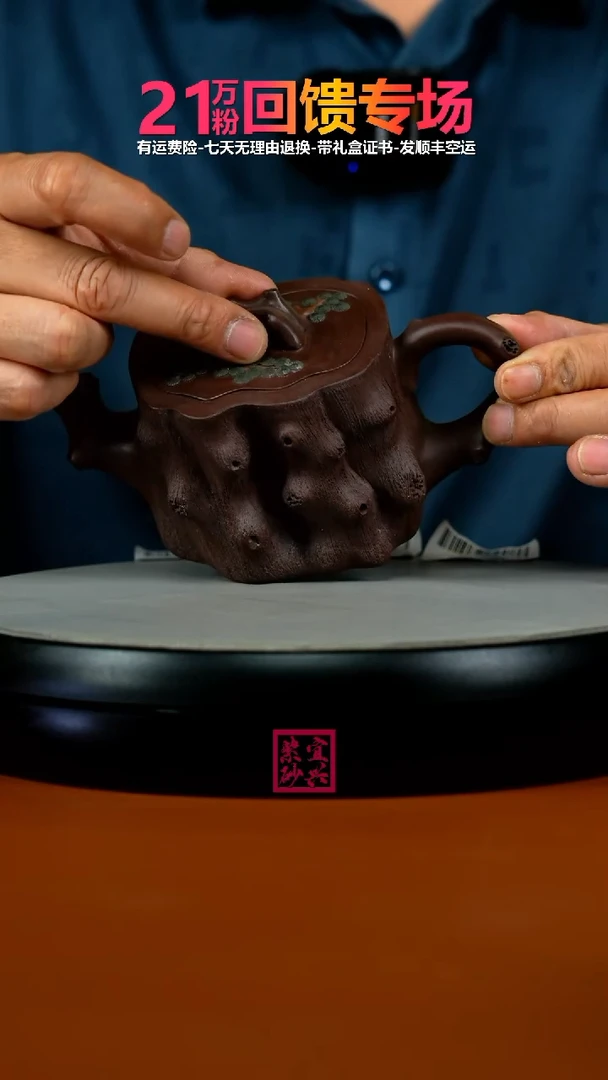 茶壶紫砂蒋静明茄皮紫泥松树桩220cc（蜂窝）