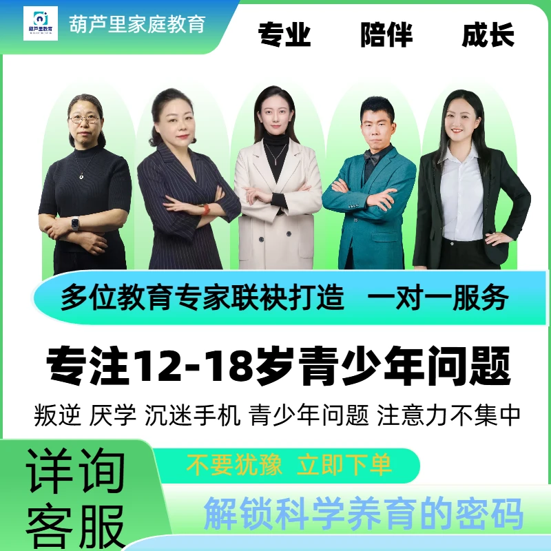 家庭教育一对一咨询辅导课程亲子分析叛逆躺平厌学沉迷手机早恋
