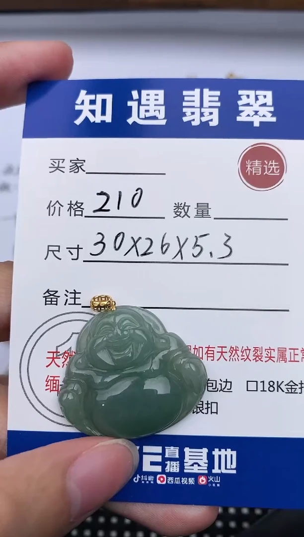 翡翠银S925镶嵌颈饰挂件