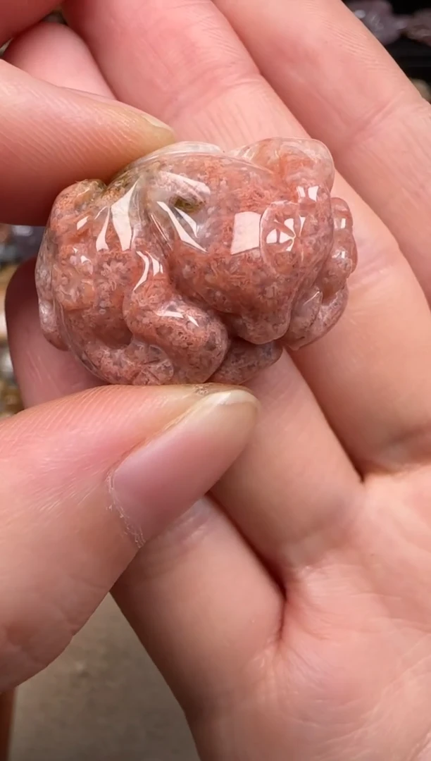 硅化珊瑚（珊瑚玉）未镶嵌颈饰183