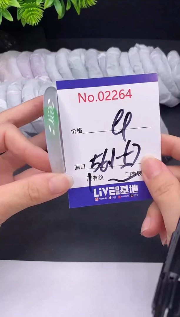 未镶嵌手镯翡翠2264
