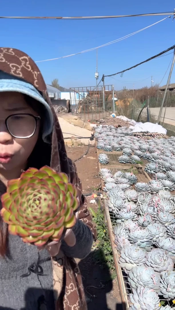 【闪购商品】26-月亮石5