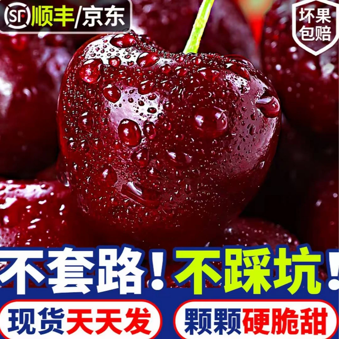 1【桑提娜次日达】3JD果王空运车厘子新鲜水果宝宝孕妇水果DS内附果径卡2500g桑提娜樱桃智利共和国